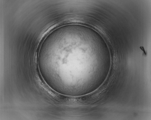 X0000115770790200911271139