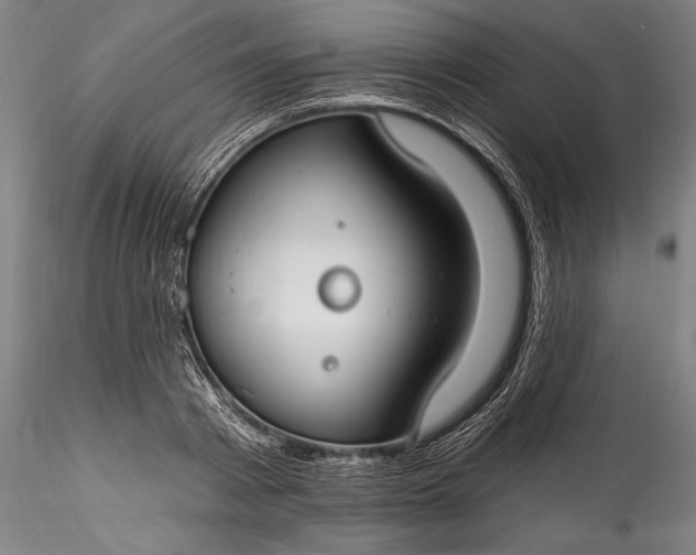 X0000115770793200911271139