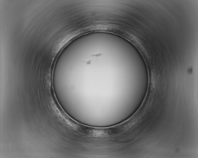 X0000115770794200911271139