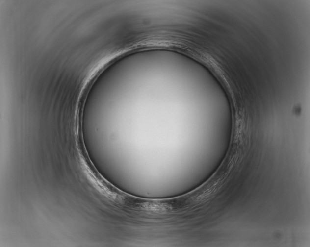 X0000115770795200911271139