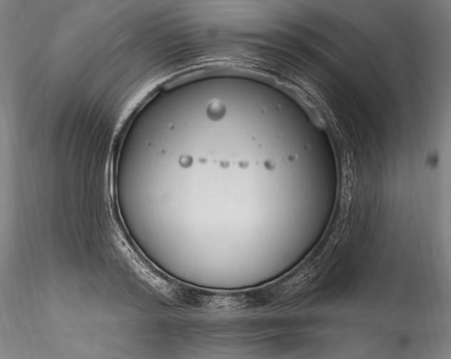 X0000115770796200911271139