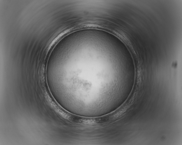 X0000115770798200911271139