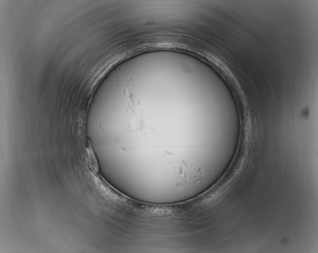 X0000115770801200911271139