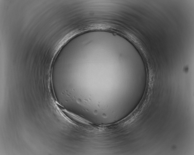 X0000115770802200911271139