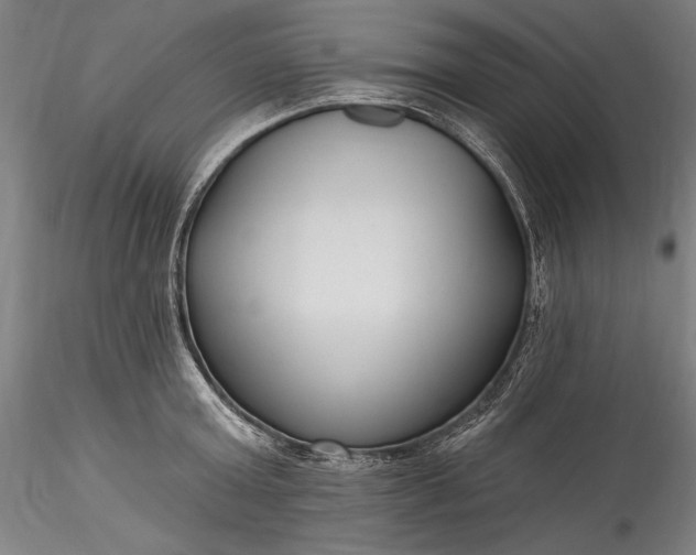 X0000115770803200911271139