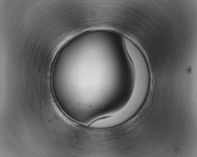 X0000115770805200911271139