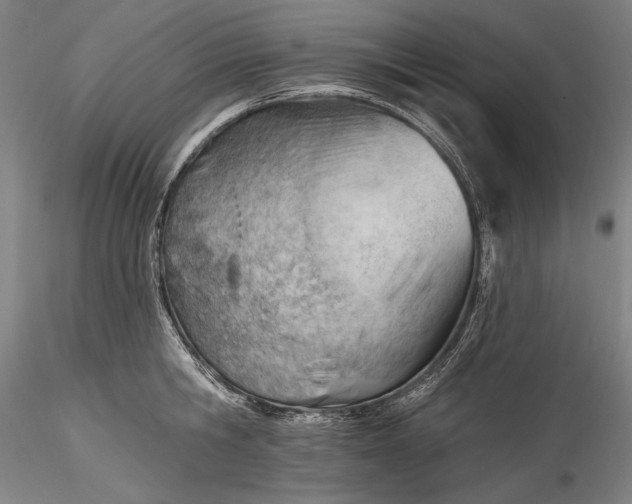 X0000115770806200911271139