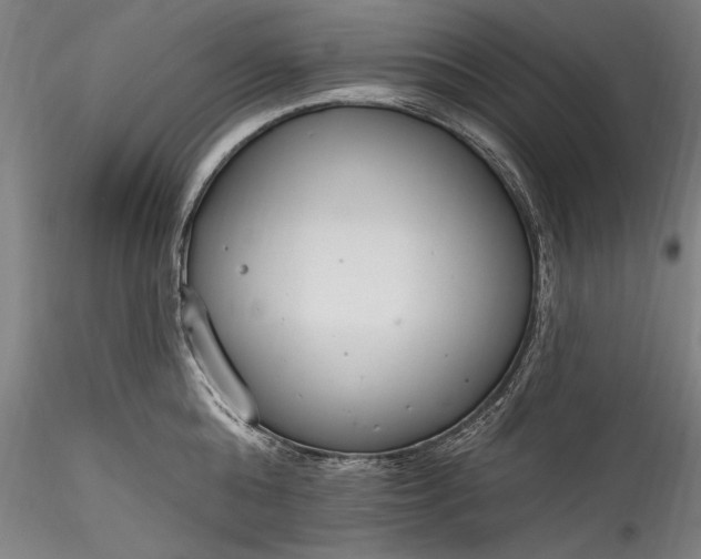 X0000115770808200911271139