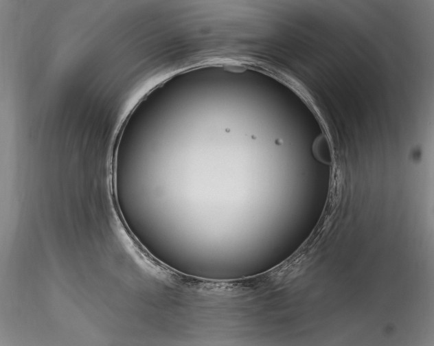 X0000115770811200911271139