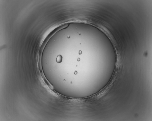 X0000115770812200911271139