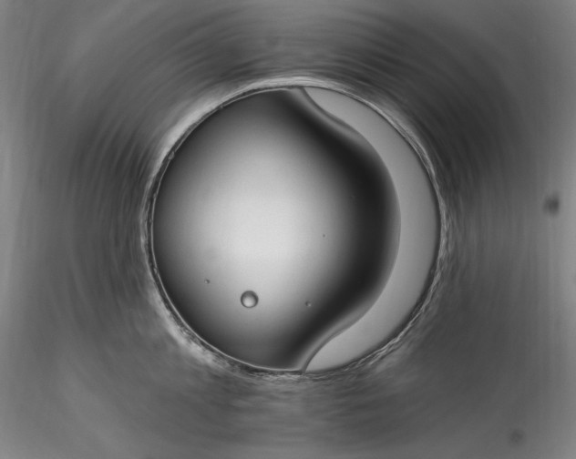 X0000115770813200911271139