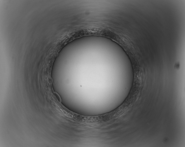 X0000115770817200911271138