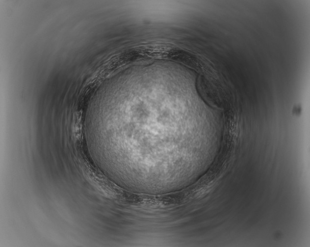 X0000115770818200911271138