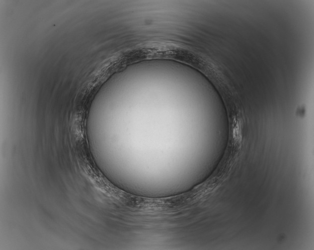 X0000115770819200911271138