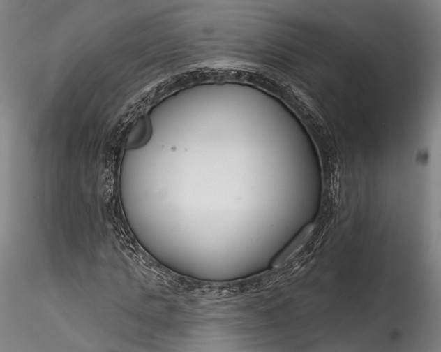 X0000115770821200911271138