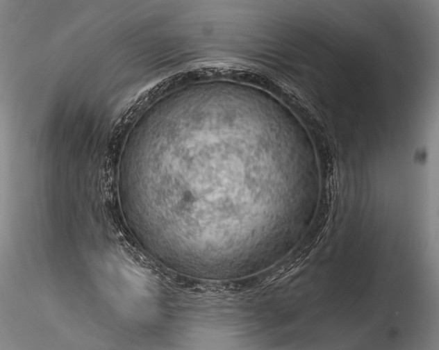 X0000115770822200911271138