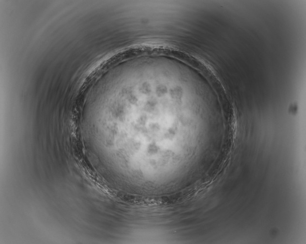 X0000115770823200911271138