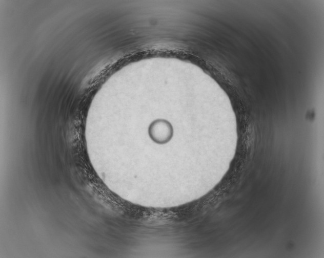 X0000115770824200911271138