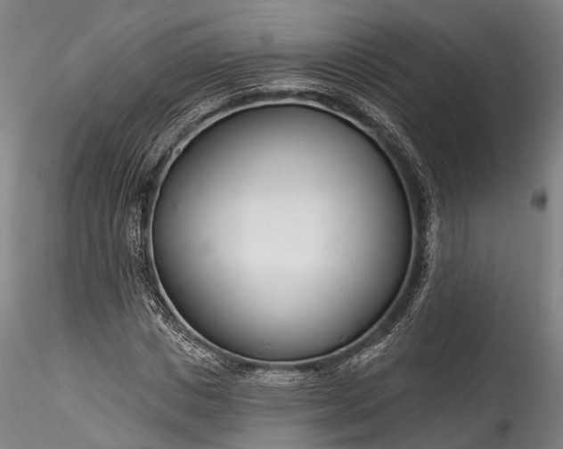 X0000115770825200911271138