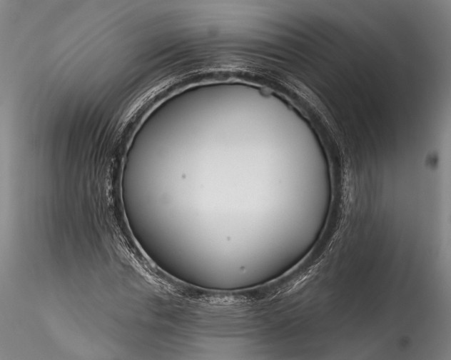 X0000115770826200911271138