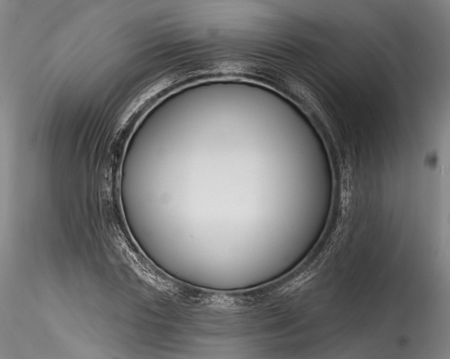 X0000115770827200911271138