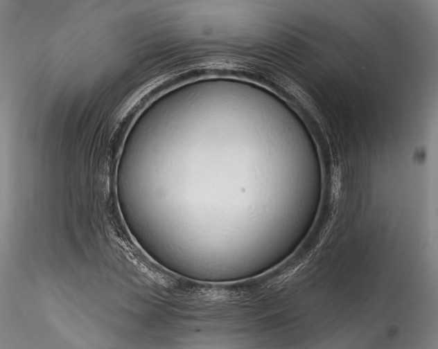 X0000115770829200911271138