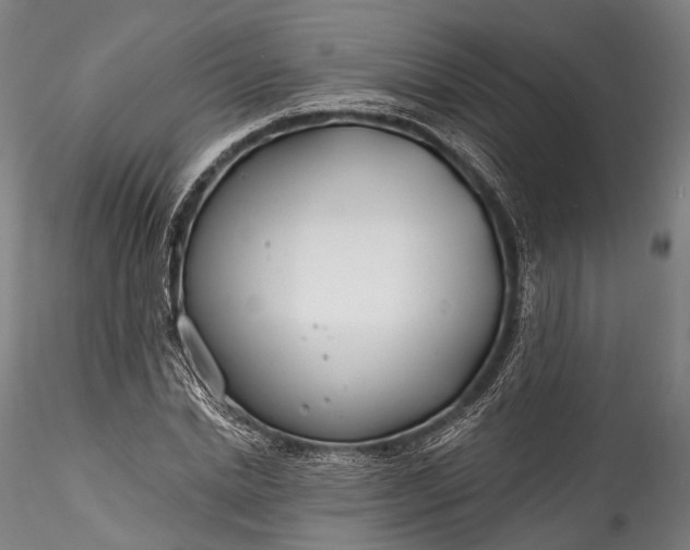 X0000115770830200911271138