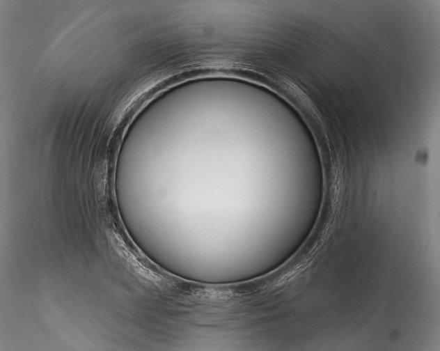 X0000115770831200911271138