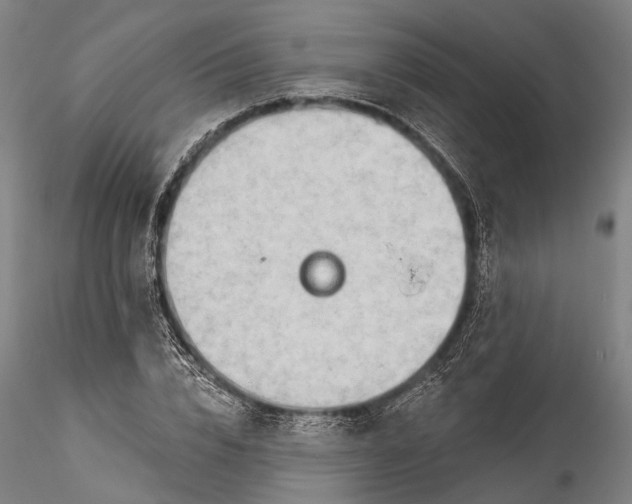 X0000115770832200911271138