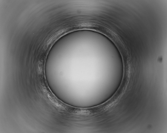 X0000115770833200911271138