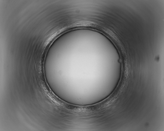 X0000115770834200911271138