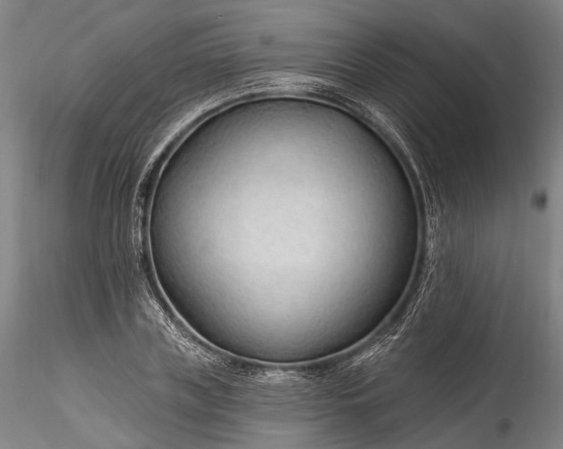 X0000115770835200911271138