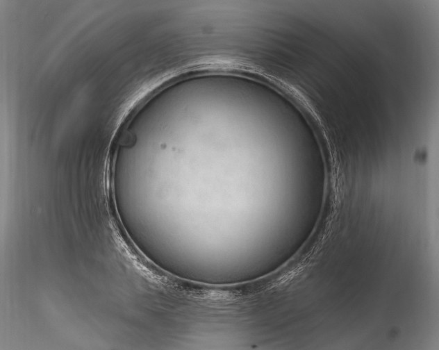 X0000115770839200911271138