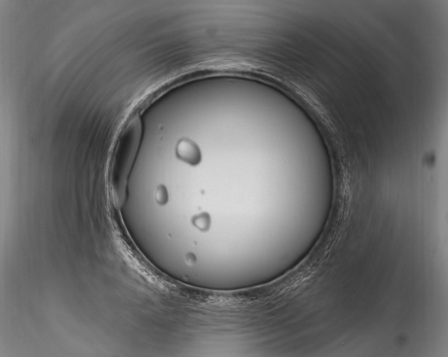 X0000115770840200911271138