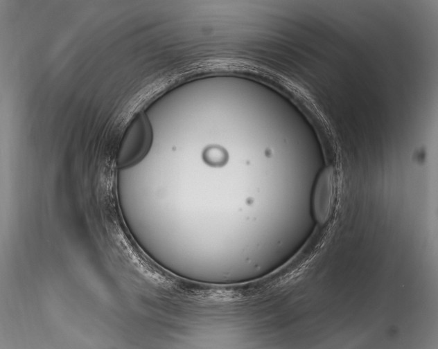 X0000115770841200911271138