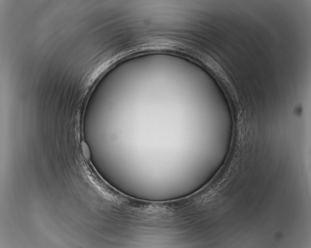 X0000115770842200911271138