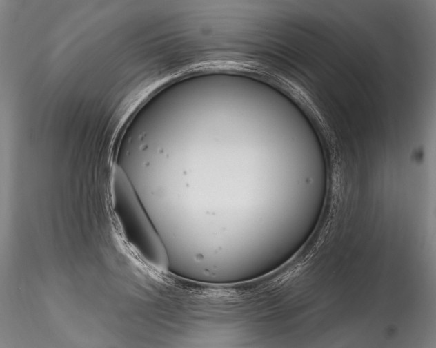 X0000115770844200911271138