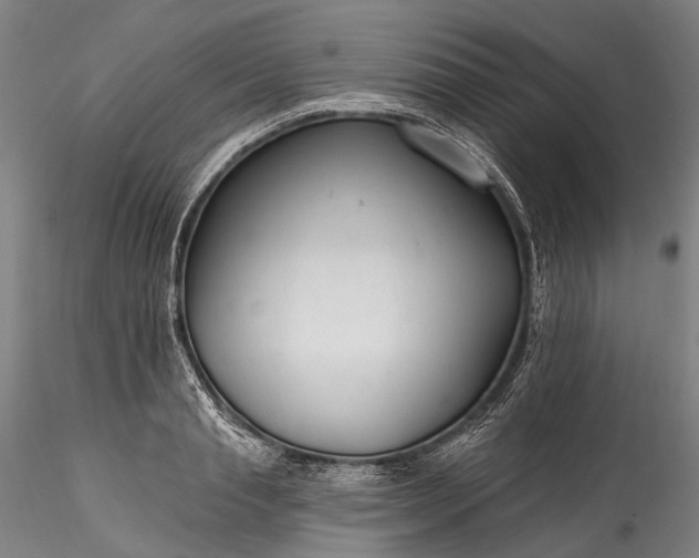 X0000115770845200911271138