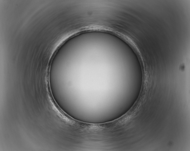 X0000115770847200911271138