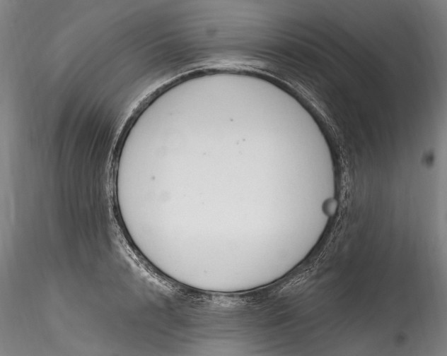 X0000115770848200911271138