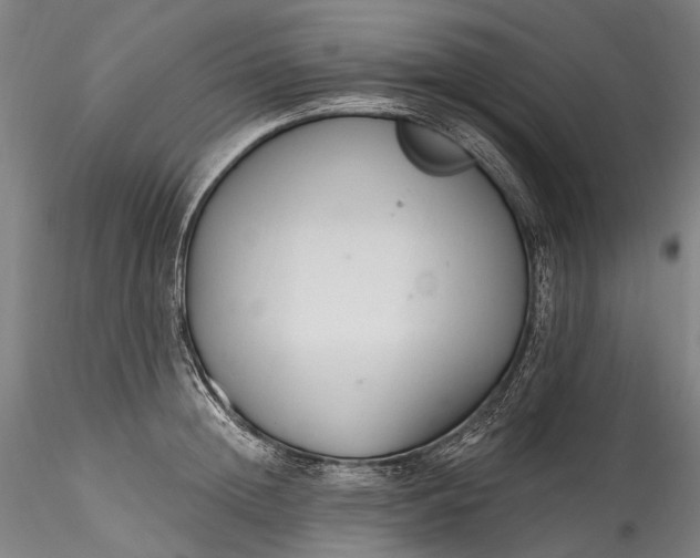 X0000115770852200911271138