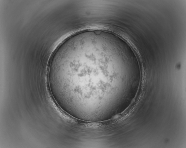 X0000115770853200911271138