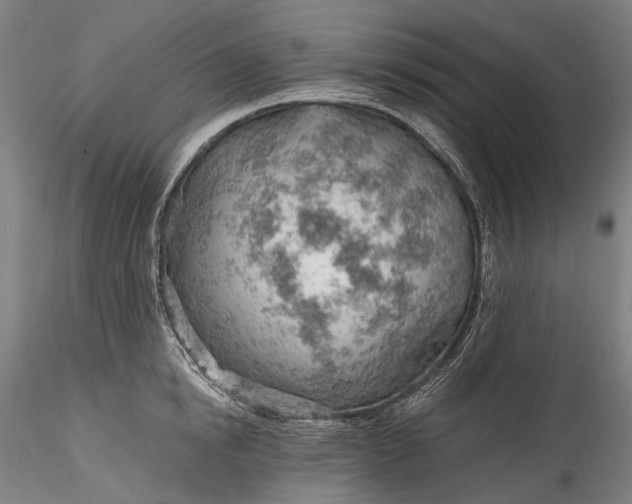 X0000115770854200911271138