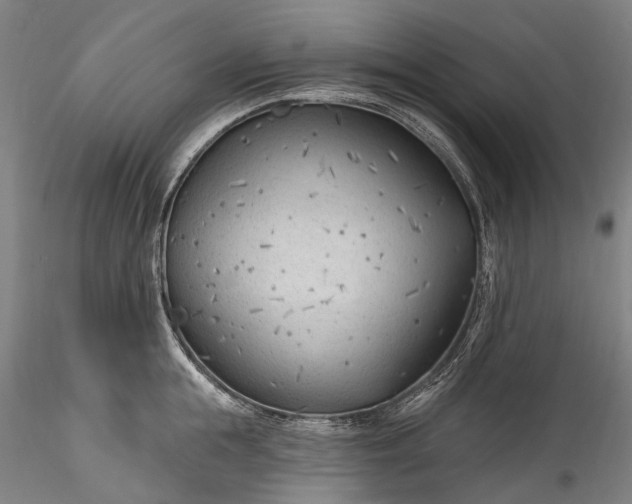 X0000115770855200911271138