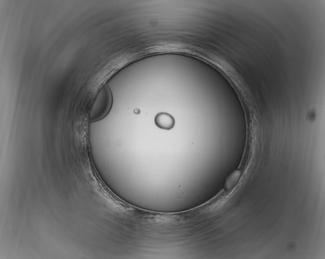 X0000115770857200911271138