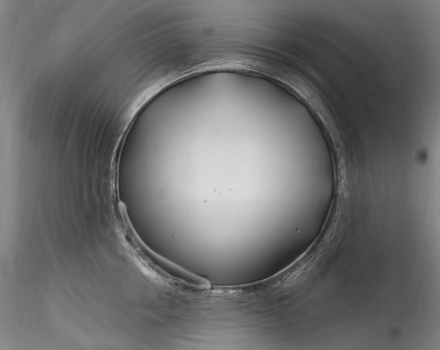 X0000115770858200911271138