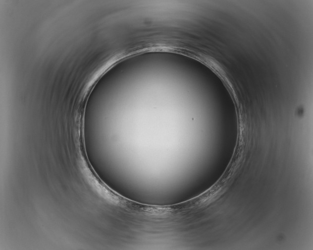 X0000115770859200911271138