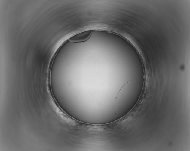 X0000115770861200911271139