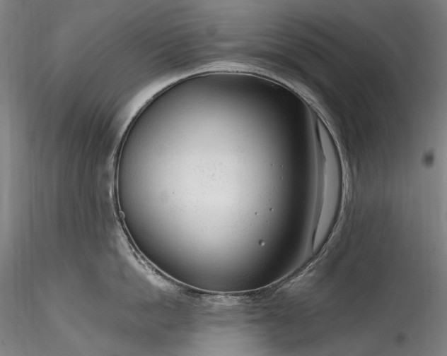 X0000115770862200911271139