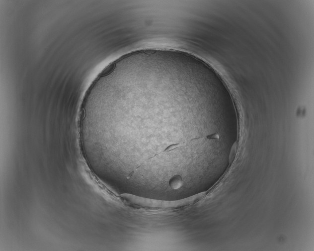 X0000115770864200911271139